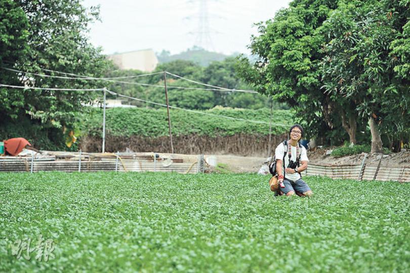 永續老師馬屎(胡景禧攝)長春社與塱原農夫合作管理水田,農夫們以傳統水稻耕種方法種植稻米,部分留給雀鳥享用。(李佩雯攝)(李佩雯攝)池鷺喜愛於稻田、魚塘淺水處, 覓食毛蟲、蝽象、小魚和小蝦等等。(胡景禧攝)塱原部分有機農場大規模種植一兩種蔬菜,不利孕育生物多樣性。(胡景禧攝)紅蟲是搖蚊的幼蟲,水滋是甲殼類浮游生物,紅蟲水滋養殖在七十年代是香港興旺一時的工業,因當年上水一帶有很多熱帶魚養殖場,紅蟲水滋是小魚的美食。冬天,黑翅長腳鷸會來這兒開餐。(胡景禧攝) 永續老師馬屎(胡景禧攝)長春社與塱原農夫合作管理水田,農夫們以傳統水稻耕種方法種植稻米,部分留給雀鳥享用。(李佩雯攝)(李佩雯攝)池鷺喜愛於稻田、魚塘淺水處, 覓食毛蟲、蝽象、小魚和小蝦等等。(胡景禧攝)塱原部分有機農場大規模種植一兩種蔬菜,不利孕育生物多樣性。(胡景禧攝)紅蟲是搖蚊的幼蟲,水滋是甲殼類浮游生物,紅蟲水滋養殖在七十年代是香港興旺一時的工業,因當年上水一帶有很多熱帶魚養殖場,紅蟲水滋是小魚的美食。冬天,黑翅長腳鷸會來這兒開餐。(胡景禧攝)