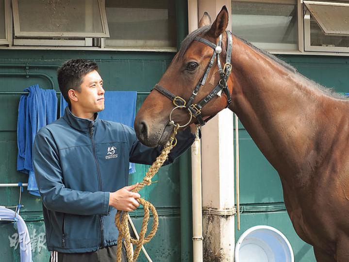 31歲的伍鵬志(Pierre)不理父親反對,憑着一股幹勁加入馬會工作,8年來升4級至助理練馬師,周日他協助訓練的愛駒友瑩格(圖)將出戰國際賽事,一人一馬共同為賽事 31歲的伍鵬志(Pierre)不理父親反對,憑着一股幹勁加入馬會工作,8年來升4級至助理練馬師,周日他協助訓練的愛駒友瑩格(圖)將出戰國際賽事,一人一馬共同為賽事