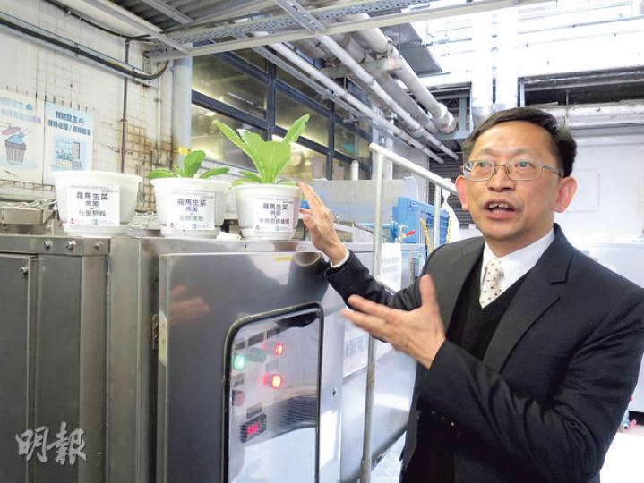 浸大珠三角環境應用研究中心主任黃煥忠說,將中藥渣加入廚餘堆肥生產的肥料,可減少泥土中的害菌,相比用化學肥料(左)和用廚餘堆肥(中)的植物,使用中藥渣肥料(右)可令植物生長得更茂盛。(黎芷欣攝) 浸大珠三角環境應用研究中心主任黃煥忠說,將中藥渣加入廚餘堆肥生產的肥料,可減少泥土中的害菌,相比用化學肥料(左)和用廚餘堆肥(中)的植物,使用中藥渣肥料(右)可令植物生長得更茂盛。(黎芷欣攝)