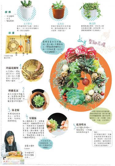 (胡景禧攝)除了當主角,多肉植物做配角置在聖誕小屋前亦倍添生氣。圖中的聖誕小屋以飛機木做牆身和屋頂,輕黏土為雪。(胡景禧攝)豐潤肥厚葉片適合葉插繁殖。(胡景禧攝)(胡景禧攝) (胡景禧攝)除了當主角,多肉植物做配角置在聖誕小屋前亦倍添生氣。圖中的聖誕小屋以飛機木做牆身和屋頂,輕黏土為雪。(胡景禧攝)豐潤肥厚葉片適合葉插繁殖。(胡景禧攝)(胡景禧攝)