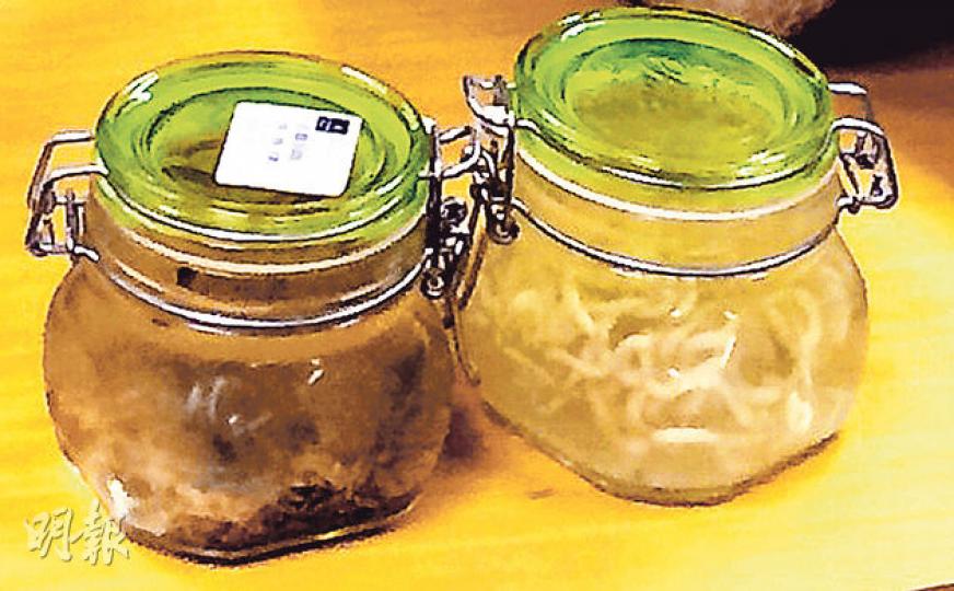 城大擬辦臨時展覽,展出蠶食鯨魚屍身的蒼蠅(左),以及解剖長2.5米小抹香鯨時,在其噴氣孔發現長達3米、外表如烏冬的寄生蟲(右)。(余瑋攝) 城大擬辦臨時展覽,展出蠶食鯨魚屍身的蒼蠅(左),以及解剖長2.5米小抹香鯨時,在其噴氣孔發現長達3米、外表如烏冬的寄生蟲(右)。(余瑋攝)