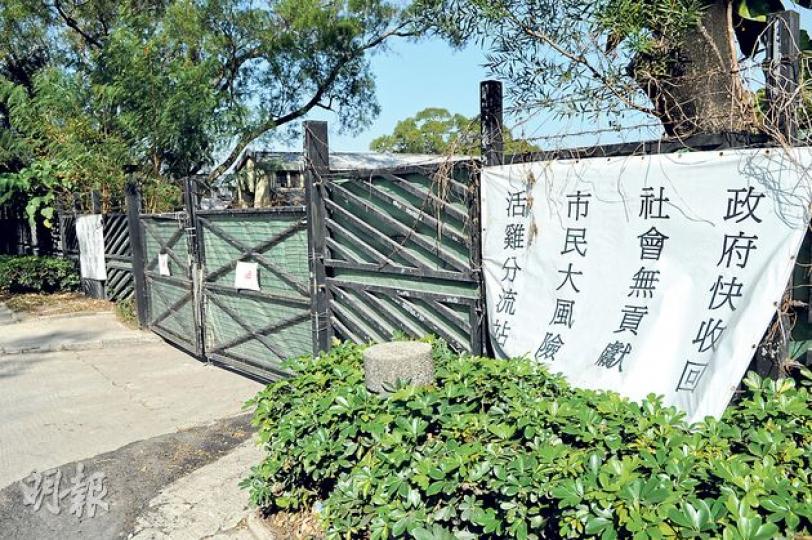 本地活雞批發商昨日與政府開會後,不滿政府對本地活雞分流的安排,欄商決定在未來21日都不會批發本地活雞。圖為有人在打鼓嶺檢查站外掛了寫上「活雞分流站 市民大風險」的橫額。(林智傑攝) 本地活雞批發商昨日與政府開會後,不滿政府對本地活雞分流的安排,欄商決定在未來21日都不會批發本地活雞。圖為有人在打鼓嶺檢查站外掛了寫上「活雞分流站 市民大風險」的橫額。(林智傑攝)