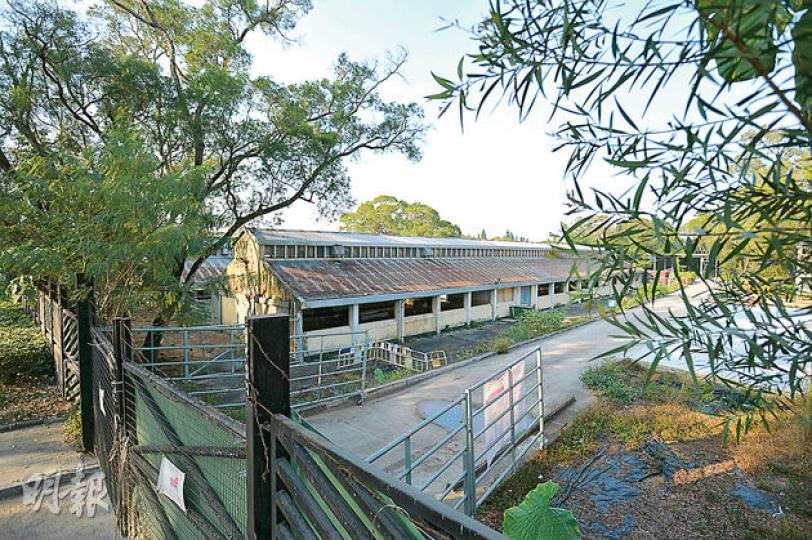 內地供港活雞驗出H7禽流感病毒,長沙灣家禽批發市場停用21日,港府擬啟用打鼓嶺檢查站(圖),供本地活雞檢查後運往銷售點,有本地活雞批發商不滿禁止在該處將雞「落地分流」的安排,拒絕使用。(盧翊銘攝) 內地供港活雞驗出H7禽流感病毒,長沙灣家禽批發市場停用21日,港府擬啟用打鼓嶺檢查站(圖),供本地活雞檢查後運往銷售點,有本地活雞批發商不滿禁止在該處將雞「落地分流」的安排,拒絕使用。(盧翊銘攝)