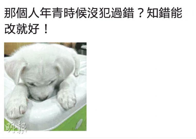 爾冬陞上載一張小狗一臉羞愧的樣子，留言表示哪個人年輕時候沒犯過錯？他覺得祖名知錯能改就好。（微博圖片）