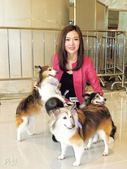 葉翠翠養了3隻牧羊狗,她冧爆表示男友閒時也會到其家中跟愛犬玩耍。(攝影/記者:柯美)林欣彤飼養的唐狗「二佬」只得半歲。(攝影/記者:柯美) 葉翠翠養了3隻牧羊狗,她冧爆表示男友閒時也會到其家中跟愛犬玩耍。(攝影/記者:柯美)林欣彤飼養的唐狗「二佬」只得半歲。(攝影/記者:柯美)