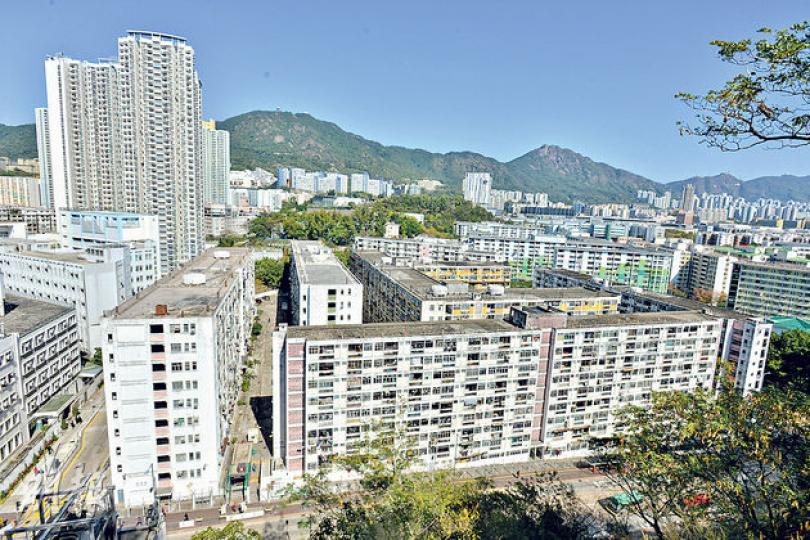 大坑西邨是全港目前唯一私營的公共屋邨，樓齡達50年，擁有該邨的平民屋宇公司已就重建一事接觸政府，惟暫未有具體方案。（黃志東攝）住在大坑西邨23年的歐陽潔珍支持重建屋邨，指邨內沒有電梯，令長者不願出門，自己提重物上樓要中途休息。（黎芷欣攝）