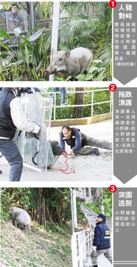 (明報製圖) (明報製圖)