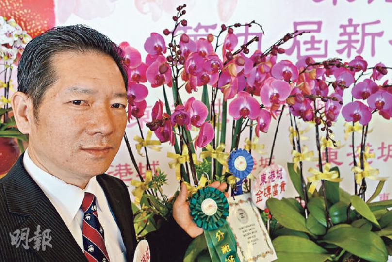 「蘭花大王」楊小龍（圖）將喺年宵引入會隨溫度變色嘅全新蘭花品種「金磚富貴」，氣溫暖和時會逐漸變成桃紅色（右），但當氣溫低過18℃時，就會呈橙紅色，但噚日佢帶畀傳媒睇嗰棵（左），就唔係好覺有橙紅色，只係比桃紅色嗰棵較淺色。（陳顥之攝）