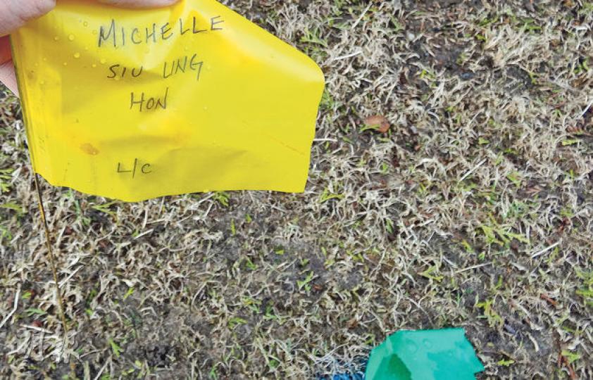 墓穴上已經插上小黃旗標示位置,旗上寫着Michelle Siu Ling Hon,與司馬燕的英文名及原名韓少玲完全相同。(加西版記者攝)司馬燕的墓地位置四周空曠近樹叢,環境幽靜。(加西版記者攝) 墓穴上已經插上小黃旗標示位置,旗上寫着Michelle Siu Ling Hon,與司馬燕的英文名及原名韓少玲完全相同。(加西版記者攝)司馬燕的墓地位置四周空曠近樹叢,環境幽靜。(加西版記者攝)