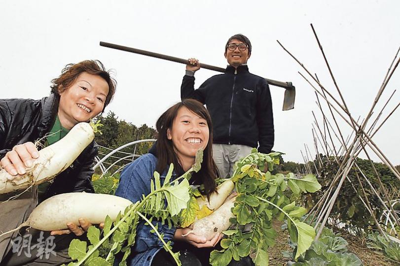 地區組織「天姿作圍」特意邀請農夫鄭家駒(後)教授種植技巧,他說要早在製糕日倒數3個月前播種,讓蘿蔔有充足時間生長,收割後即用作製糕,保持新鮮。圖前左及右分別為製糕婦女羅壎寧及組織幹事彭樂欣。(李紹昌攝)天水圍婦女今年獲元朗八鄉一家茶餐廳借出廚房,製作百底蘿蔔糕,糕點特別混入同是農場出產的有機甘筍絲,以橙色作點綴。(胡景禧攝) 地區組織「天姿作圍」特意邀請農夫鄭家駒(後)教授種植技巧,他說要早在製糕日倒數3個月前播種,讓蘿蔔有充足時間生長,收割後即用作製糕,保持新鮮。圖前左及右分別為製糕婦女羅壎寧及組織幹事彭樂欣。(李紹昌攝)天水圍婦女今年獲元朗八鄉一家茶餐廳借出廚房,製作百底蘿蔔糕,糕點特別混入同是農場出產的有機甘筍絲,以橙色作點綴。(胡景禧攝)