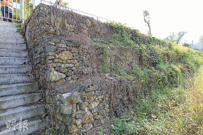 河堤以石籠取代混凝土,石塊之間罅隙為生物提供天然生境,亦可過濾河水,改善水質。(林俊源攝)渠務署為林村河度身訂做了一道「魚梯」,營造自然生境,讓有迴游習性的魚類逆流而上。(林俊源攝)香港瘰螈受《野生動物保護條例》保護,是本地獨有的有尾兩棲動物,成年香港瘰螈體長約14厘米,林村河工程完成後,當地捕撈到的香港瘰螈逾500隻,較工程前增逾一倍。(林俊源攝) 河堤以石籠取代混凝土,石塊之間罅隙為生物提供天然生境,亦可過濾河水,改善水質。(林俊源攝)渠務署為林村河度身訂做了一道「魚梯」,營造自然生境,讓有迴游習性的魚類逆流而上。(林俊源攝)香港瘰螈受《野生動物保護條例》保護,是本地獨有的有尾兩棲動物,成年香港瘰螈體長約14厘米,林村河工程完成後,當地捕撈到的香港瘰螈逾500隻,較工程前增逾一倍。(林俊源攝)