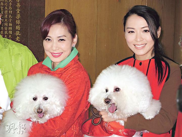 鄺美雲(左)帶同愛犬與陳煒齊齊於年初二探長者做慈事。(攝影/記者:唐嘉晞) 鄺美雲(左)帶同愛犬與陳煒齊齊於年初二探長者做慈事。(攝影/記者:唐嘉晞)