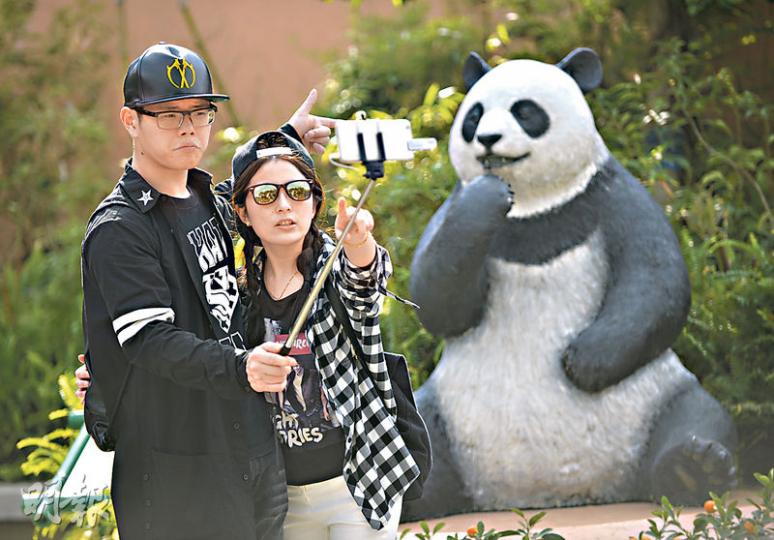 新春期間訪港內地客人數下降，連帶海洋公園入場人數亦較去年同期下降一成。昨日到訪的遊人在熊貓館外留影，但大熊貓盈盈目前正身處內地參與全國繁殖計劃，熊貓館則照常開放。（余俊亮攝）