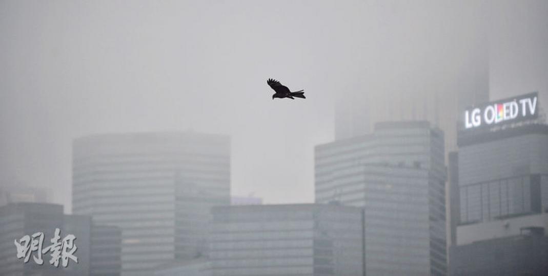 本港昨日受到強烈季候風影響,加上持續多雲有雨,令能見度低過5000米,天空一片灰濛濛。(盧翊銘攝) 本港昨日受到強烈季候風影響,加上持續多雲有雨,令能見度低過5000米,天空一片灰濛濛。(盧翊銘攝)