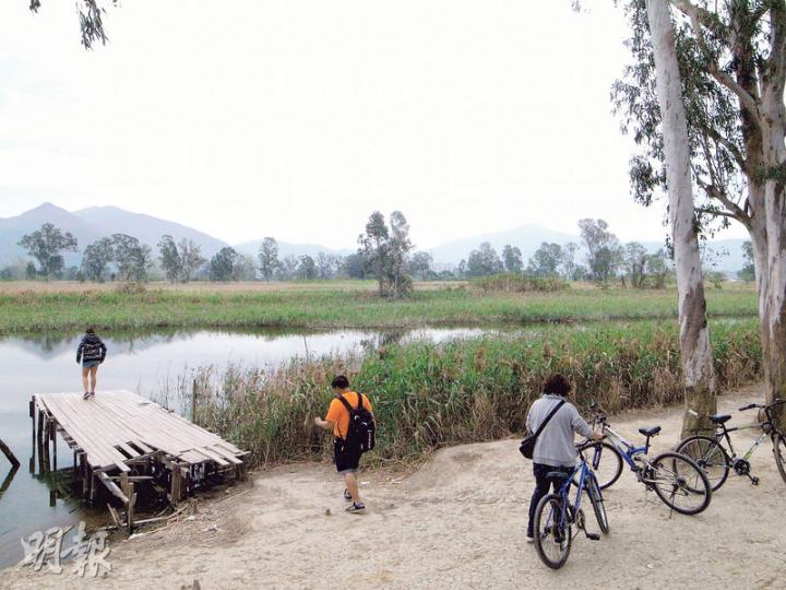 現時踏單車到南生圍,除了由青山公路轉入南生圍路,還可以在山貝村乘搭圖中的橫水渡進入南生圍。土木工程拓展署原本計劃興建南生圍段單車徑,但因可能破壞生態,最終擱置工程。(鄧宗弘攝) 現時踏單車到南生圍,除了由青山公路轉入南生圍路,還可以在山貝村乘搭圖中的橫水渡進入南生圍。土木工程拓展署原本計劃興建南生圍段單車徑,但因可能破壞生態,最終擱置工程。(鄧宗弘攝)