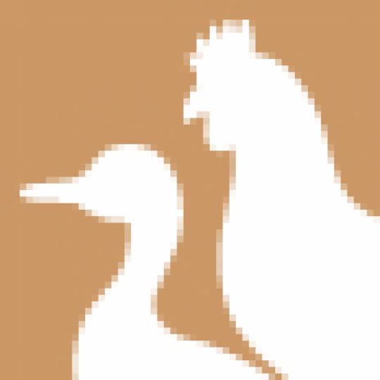 62d5a7f008c1d89c2cdab5f9ac98e786