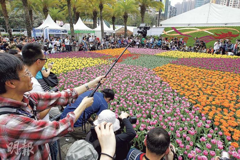 花展昨早於維園開鑼,顏色鮮艷的鬱金香園圃最受「龍友」歡迎,花圃四圍擠得密不透風,不少「龍友」蹲下拍照,冀取得較佳攝影角度。(李紹昌攝) 今年花展秩序良好,昨暫未見有人為拍照踐踏花朵,但有市民自備一小支水噴灑鬱金香,再供人拍攝。(李紹昌攝) 花展昨早於維園開鑼,顏色鮮艷的鬱金香園圃最受「龍友」歡迎,花圃四圍擠得密不透風,不少「龍友」蹲下拍照,冀取得較佳攝影角度。(李紹昌攝) 今年花展秩序良好,昨暫未見有人為拍照踐踏花朵,但有市民自備一小支水噴灑鬱金香,再供人拍攝。(李紹昌攝)