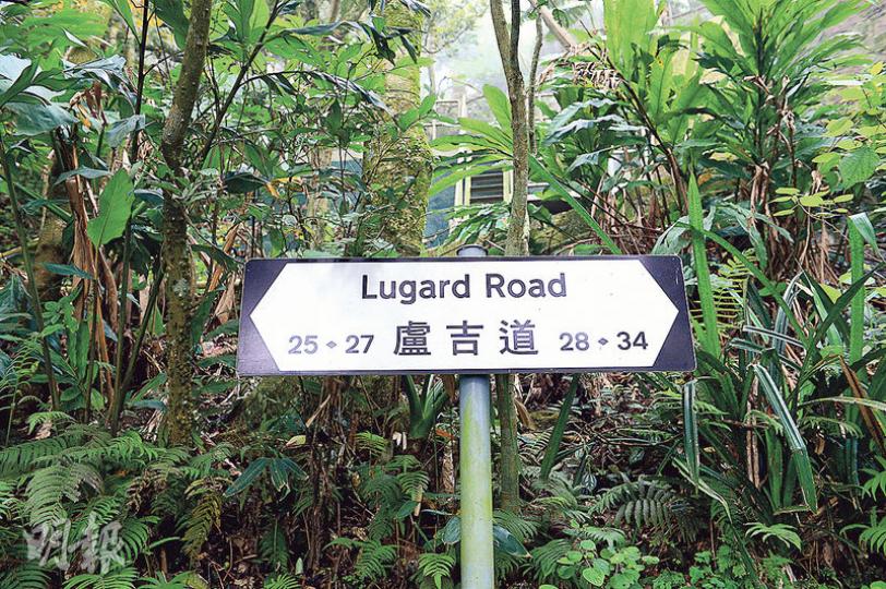 (劉焌陶攝)盧吉道路窄,平均也只有這個闊度。(劉焌陶攝)起步之初,我們就遇到朱耀明牧師,他說每星期總會來行山兩次,若盧吉道發展酒店,香港就少了一個呼吸的地方。(劉焌陶攝)盧吉道二十七號,有九十九年歷史,獲評為二級歷史建築,前年被申請改建為文物酒店。(劉焌陶攝)三年前,姚醫生遷出盧吉道二十七號,沒想到新業主打算將這裏改成酒店。(劉焌陶攝)二十八號,現在是空置沒人、等待發展的屋。(劉焌陶攝)盧吉道上,滿是這種掛着放售廣告的住宅。(劉焌陶攝)盧吉道是港島徑第一段,行山客甚多,有不少人推着嬰兒車,有車駛 (劉焌陶攝)盧吉道路窄,平均也只有這個闊度。(劉焌陶攝)起步之初,我們就遇到朱耀明牧師,他說每星期總會來行山兩次,若盧吉道發展酒店,香港就少了一個呼吸的地方。(劉焌陶攝)盧吉道二十七號,有九十九年歷史,獲評為二級歷史建築,前年被申請改建為文物酒店。(劉焌陶攝)三年前,姚醫生遷出盧吉道二十七號,沒想到新業主打算將這裏改成酒店。(劉焌陶攝)二十八號,現在是空置沒人、等待發展的屋。(劉焌陶攝)盧吉道上,滿是這種掛着放售廣告的住宅。(劉焌陶攝)盧吉道是港島徑第一段,行山客甚多,有不少人推着嬰兒車,有車駛