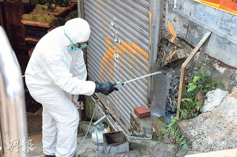 食環署人員穿上全套保護衣在場灑噴殺蟲水。（蔡方山攝）食環署人員到場灑噴殺蟲水滅蜂期間，仍有蜜蜂在水果箱上聚集。（蔡方山攝）