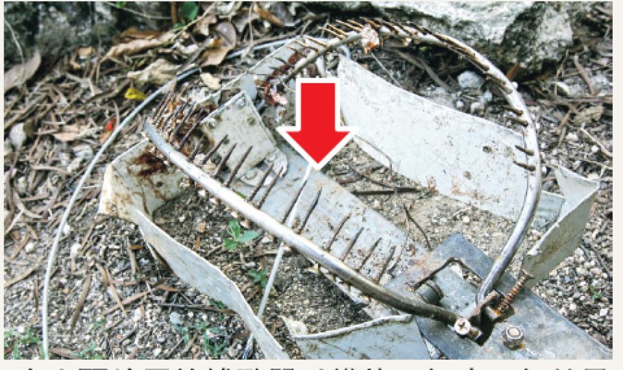 在山頭放置的捕獸器以鐵片、鋼索、鋼枝及鐵釘製成，動物踏入中央鐵片（箭嘴示）即會觸動裝置。（伍浦鋒攝）黃太指上周五晚上曾報警，她當時十分緊張，曾誤說在山上發現有小狗被「暗器」（實為捕獸器）夾着腿部，但警方只叫她自行向漁護署求助。（伍浦鋒攝）