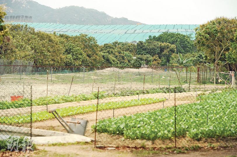 下白泥村村長鄭偉君表示，下白泥遭多項厭惡設施如堆填區（圖後方綠色設施）及污泥焚化爐包圍，認為不宜將龍鼓灘填海區規劃為住宅區，擔心只會加劇空氣及交通問題。（胡景禧攝）下白泥蠅患嚴重，政府認為無證據證明與堆填區運作有關，但村民擔心，擴建堆填區會令情况惡化，認為該區不宜再闢地興建住宅。（胡景禧攝）