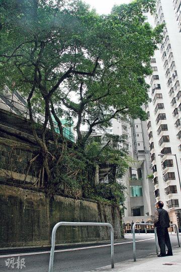 (陳嘉文攝)(陳嘉文攝) (陳嘉文攝)(陳嘉文攝)