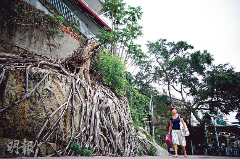 (陳嘉文攝) (陳嘉文攝)