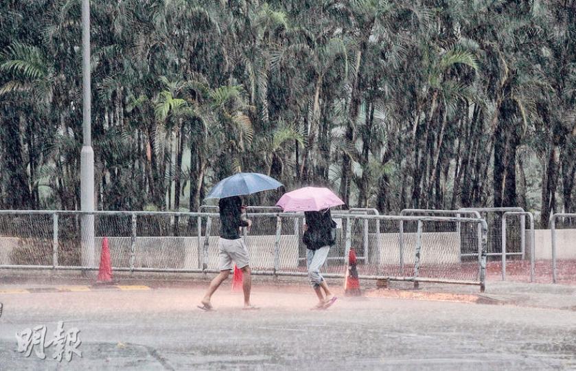 昨早本港多區下起滂沱大雨,市民即使撐傘亦無法擋雨,多走幾步就全身濕透。(李澤彤攝) 昨早本港多區下起滂沱大雨,市民即使撐傘亦無法擋雨,多走幾步就全身濕透。(李澤彤攝)