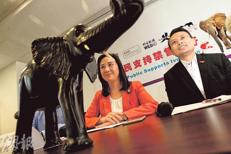 民建聯葛珮帆(左)噚日同環團開記者會,要求政府立法全面禁止象牙貿易,右為民建聯副主席陳勇。(李紹昌攝) 民建聯葛珮帆(左)噚日同環團開記者會,要求政府立法全面禁止象牙貿易,右為民建聯副主席陳勇。(李紹昌攝)