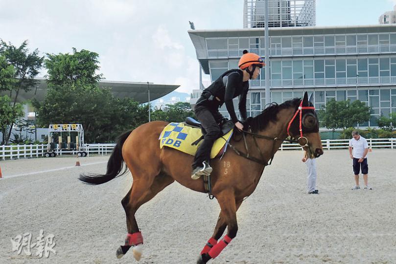 人稱「馬場皓楠哥」嘅黃皓楠騎起馬時真係幾型,馬會職員仲係咁sell佢,話佢係好仔,叫在場女記者「mark實佢」咁話!(邱榕瀅攝) 人稱「馬場皓楠哥」嘅黃皓楠騎起馬時真係幾型,馬會職員仲係咁sell佢,話佢係好仔,叫在場女記者「mark實佢」咁話!(邱榕瀅攝)