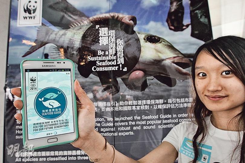 世界自然基金會香港分會去年推出「海鮮選擇指引」手機應用程式,讓市民查閱紅、黃和綠類別的建議食用海鮮,及有售「環保海鮮」的食肆。(李紹昌攝) 世界自然基金會香港分會去年推出「海鮮選擇指引」手機應用程式,讓市民查閱紅、黃和綠類別的建議食用海鮮,及有售「環保海鮮」的食肆。(李紹昌攝)