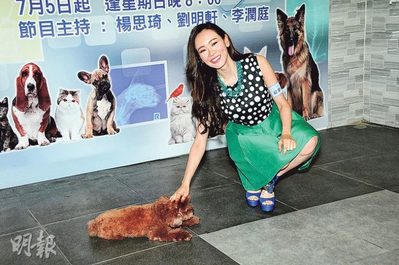 楊思琦是愛犬之人,昨日在活動上示範訓練狗狗。(攝影/記者﹕梁榮達) 楊思琦是愛犬之人,昨日在活動上示範訓練狗狗。(攝影/記者﹕梁榮達)