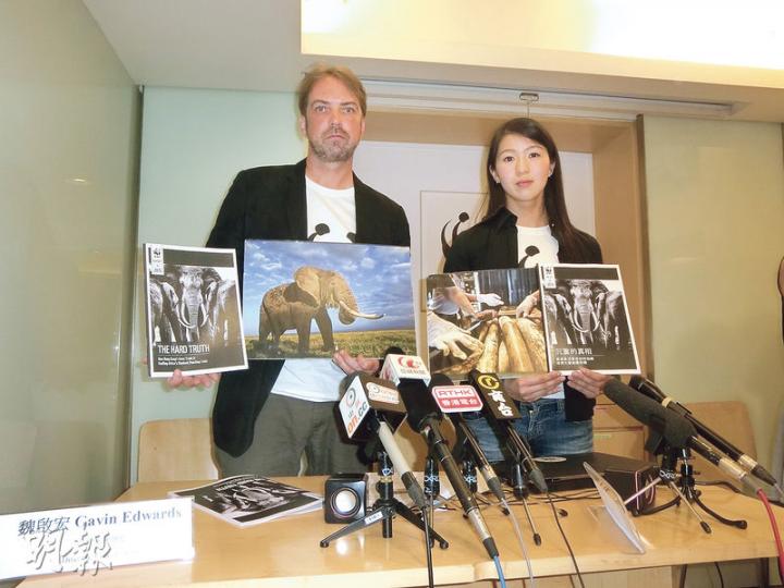 世界自然基金會香港分會高級主任（野生動物罪行）勞敏惠（右），促請政府立法全面禁止象牙貿易及加工。圖左為世界自然基金會香港分會環境保護總監魏啟宏。（黃俊鋒攝）