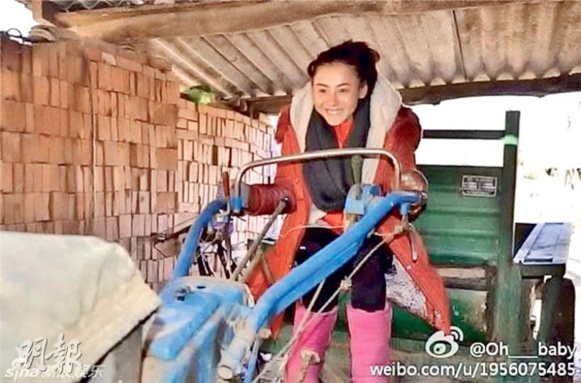 張栢芝未忘記兩年前曾到洛陽探訪的一班孤兒,日前透過慈善組織將200件羽絨送給這班小朋友。(微博圖片) 張栢芝未忘記兩年前曾到洛陽探訪的一班孤兒,日前透過慈善組織將200件羽絨送給這班小朋友。(微博圖片)