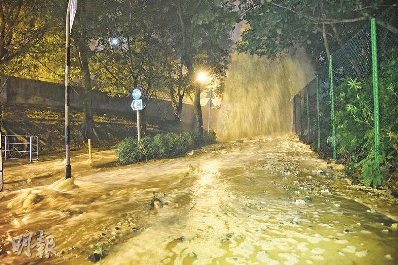 （蔡方山攝）（蔡方山攝）