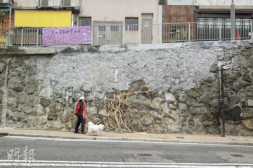(郭慶輝攝) (郭慶輝攝)