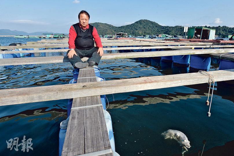 新界漁民聯誼會理事長黃容根表示，除了鹽田仔，其餘受影響魚類養殖戶亦憂心目前水質不宜養魚，大多暫時停業。（楊柏賢攝）