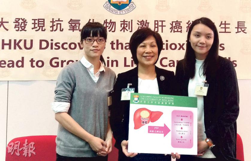港大醫學院病理學系講座教授及系主任吳呂愛蓮（中）昨表示，一般人認為抗氧化物助防癌，但研究卻發現抗氧化物會刺激肝癌細胞生長，建議患者考慮是否應繼續服用高劑量補充劑。圖右為港大病理學系助理教授黃澤蕾，左為同系博士生徐明婧。（陳柔雅攝）