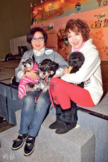 謝雪心(右)與李司棋帶愛犬出席「動物醫生宣誓就職典禮」。(攝影鎅O者:梁迺楠)鄺美雲透露3隻愛犬都是面試一take過成為狗醫生。(攝影鎅O者:梁迺楠) 謝雪心(右)與李司棋帶愛犬出席「動物醫生宣誓就職典禮」。(攝影鎅O者:梁迺楠)鄺美雲透露3隻愛犬都是面試一take過成為狗醫生。(攝影鎅O者:梁迺楠)