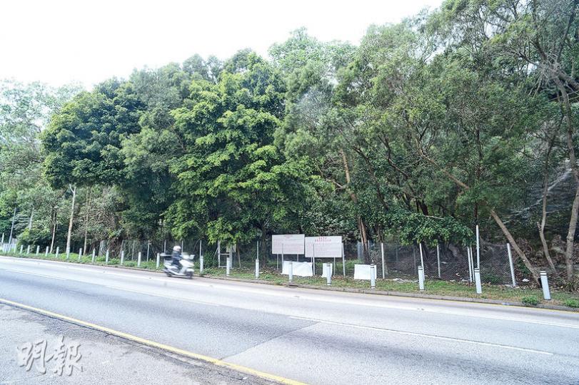 大埔公路沙田嶺段蚊型住宅地,由遠展以逾2.45億元投得,以項目可建樓面計,每方呎樓面地價約2760元,比市場估值下限3500元低逾兩成。(劉焌陶攝) 大埔公路沙田嶺段蚊型住宅地,由遠展以逾2.45億元投得,以項目可建樓面計,每方呎樓面地價約2760元,比市場估值下限3500元低逾兩成。(劉焌陶攝)