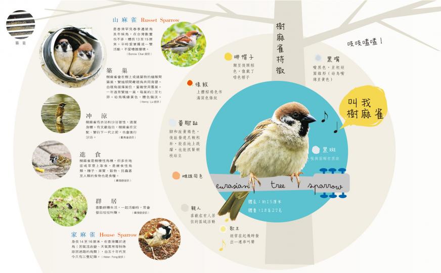 (明報製圖) (明報製圖)