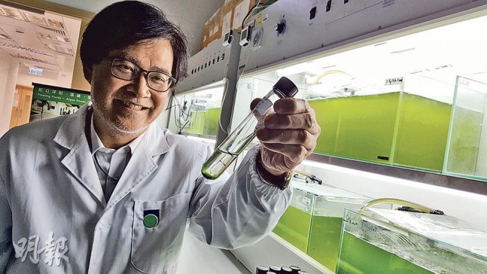 公開大學科技學院院長何建宗(圖)研究紅潮逾30年,近年致力研究微藻用途,發現用途廣泛,既可減碳亦可淨化污水,更可製成生物燃料如生物柴油。(馬耀森攝) 公開大學科技學院院長何建宗(圖)研究紅潮逾30年,近年致力研究微藻用途,發現用途廣泛,既可減碳亦可淨化污水,更可製成生物燃料如生物柴油。(馬耀森攝)