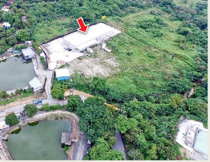 該白泥魚塘遭填平後再變身室內水耕場(箭嘴示),身兼新界鄉議局主席及富徹農場主席的劉業強解釋,興建室內水耕場一事是根據現行政策,循正常程序向政府相關部門申請興建,並無違反規劃用途。(林俊源攝)記者曾嘗試以市民身分要求入內參觀,惟富徹農場表示暫只接受團體申請預約。富徹農場曾接受傳媒訪問,表示將會增加銷售渠道,包括超級市場等。(林俊源攝) 該白泥魚塘遭填平後再變身室內水耕場(箭嘴示),身兼新界鄉議局主席及富徹農場主席的劉業強解釋,興建室內水耕場一事是根據現行政策,循正常程序向政府相關部門申請興建,並無違反規劃用途。(林俊源攝)記者曾嘗試以市民身分要求入內參觀,惟富徹農場表示暫只接受團體申請預約。富徹農場曾接受傳媒訪問,表示將會增加銷售渠道,包括超級市場等。(林俊源攝)
