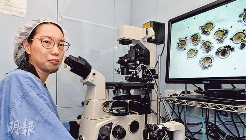 婦產科專科醫生黃慧儀表示,香港人現時平均只睡6.5小時,較最有利精子質量的7小時睡眠少,會影響男性的生育能力。(馮凱鍵攝) 婦產科專科醫生黃慧儀表示,香港人現時平均只睡6.5小時,較最有利精子質量的7小時睡眠少,會影響男性的生育能力。(馮凱鍵攝)