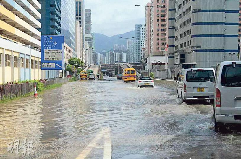 (林智傑攝) (林智傑攝)