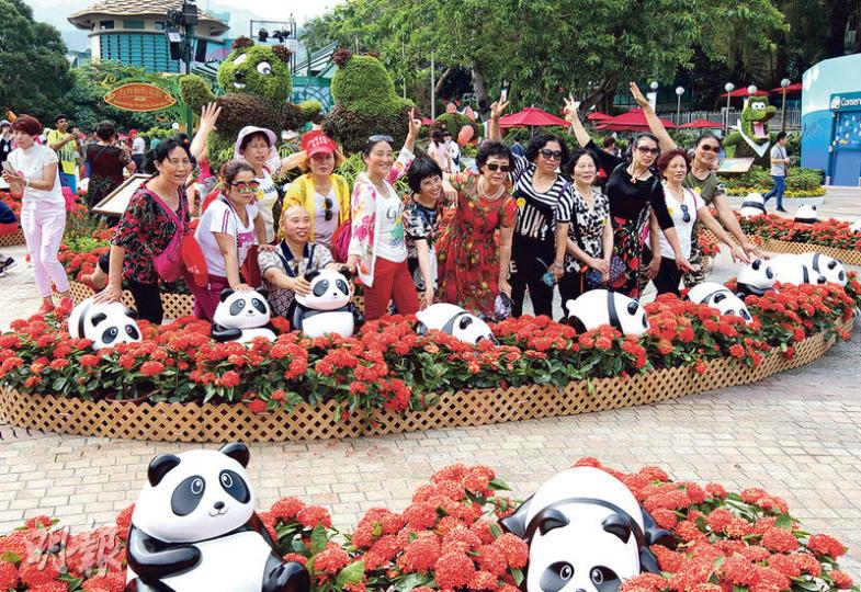 噚日下晝Emily去海洋公園,發現唔少入場者都係內地旅客,途經海濱樂園廣場時,仲有十幾名旅客舉手擺晒姿勢,同花海裏面嘅大熊貓雕塑合照,背後仲有兩個熊貓立體花藝樹塑。海洋公園候任行政總裁李繩宗同Emily講,今年五一黃金周內地旅行團減少,自由行就增加,估計係假期日數減短,所以易吸引短途客來港。(李紹昌攝)37歲嘅大熊貓佳佳(圖)相等於人類111歲,噚日下晝Emily同行家探佢,佢就懶洋洋咁攤喺展館,無咩理人。海洋公園透露佳佳有白內障,視野唔太清晰,平日餵佢會盡量唔改變食物位置,令佢可生活喺熟悉嘅環 噚日下晝Emily去海洋公園,發現唔少入場者都係內地旅客,途經海濱樂園廣場時,仲有十幾名旅客舉手擺晒姿勢,同花海裏面嘅大熊貓雕塑合照,背後仲有兩個熊貓立體花藝樹塑。海洋公園候任行政總裁李繩宗同Emily講,今年五一黃金周內地旅行團減少,自由行就增加,估計係假期日數減短,所以易吸引短途客來港。(李紹昌攝)37歲嘅大熊貓佳佳(圖)相等於人類111歲,噚日下晝Emily同行家探佢,佢就懶洋洋咁攤喺展館,無咩理人。海洋公園透露佳佳有白內障,視野唔太清晰,平日餵佢會盡量唔改變食物位置,令佢可生活喺熟悉嘅環