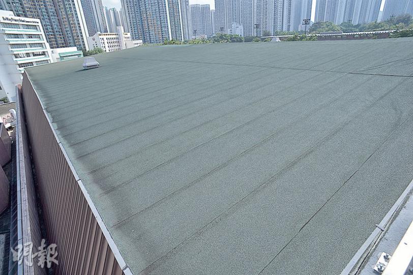 (蘇智鑫攝) (蘇智鑫攝)