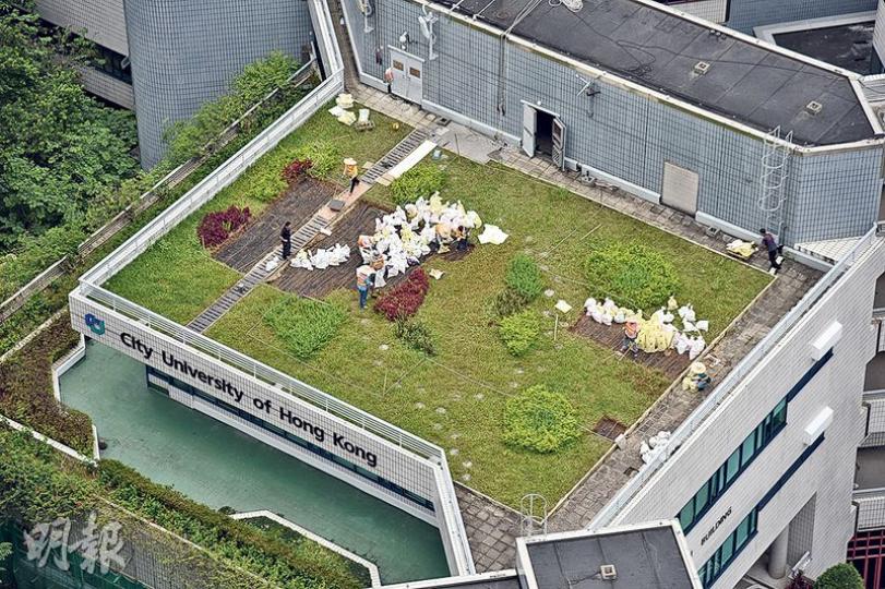 城大昨早陸續清除位於學術樓(一)、鄭翼之樓及康樂樓天台草地植被,並先在鄭翼之樓天台剷起泥土及植被(圖),放在袋中運走。(鍾炳然攝) 城大昨早陸續清除位於學術樓(一)、鄭翼之樓及康樂樓天台草地植被,並先在鄭翼之樓天台剷起泥土及植被(圖),放在袋中運走。(鍾炳然攝)