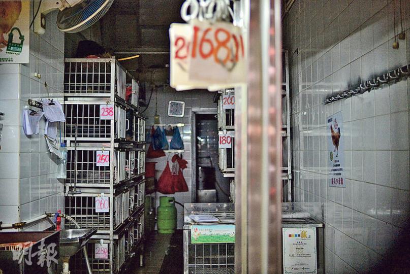屯門仁愛街市雞糞樣本驗出H7N9禽流感病毒,全港自周日起停售活雞,周二再撲殺家禽。圖為灣仔道一個雞檔,昨未有營業。(鄧宗弘攝) 屯門仁愛街市雞糞樣本驗出H7N9禽流感病毒,全港自周日起停售活雞,周二再撲殺家禽。圖為灣仔道一個雞檔,昨未有營業。(鄧宗弘攝)