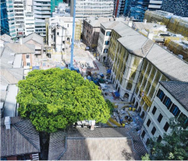 屋宇署指「大館」項目的認可人士和註冊結構工程師已提交報告,確定建築群的兩座新建樓宇包括奧卑利美術館(圖中右上角)整體結構安全,昨日恢復工程。然而涉及倒塌事件的已婚督察宿舍及其對開廣場(藍色吊臂後範圍)則不包括於復工範圍內。(劉焌陶攝) 屋宇署指「大館」項目的認可人士和註冊結構工程師已提交報告,確定建築群的兩座新建樓宇包括奧卑利美術館(圖中右上角)整體結構安全,昨日恢復工程。然而涉及倒塌事件的已婚督察宿舍及其對開廣場(藍色吊臂後範圍)則不包括於復工範圍內。(劉焌陶攝)